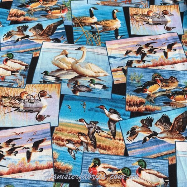 Ducks and Geese, Американский хлопок для рукоделия и одежды 343-417  фото