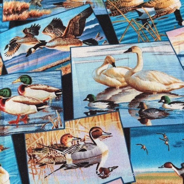 Ducks and Geese, Американский хлопок для рукоделия и одежды 343-417  фото