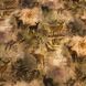 Deer and Leaves, Американский хлопок для рукоделия и одежды 104C-A25 фото 1