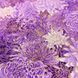 Chrysanthemum Metallic, Американский хлопок для рукоделия и одежды A7-113A-A25 фото 3