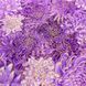 Chrysanthemum Metallic, Американский хлопок для рукоделия и одежды A7-113A-A25 фото 2