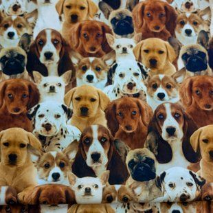 PUPPIES, Американский хлопок для рукоделия и одежды a90-342 фото