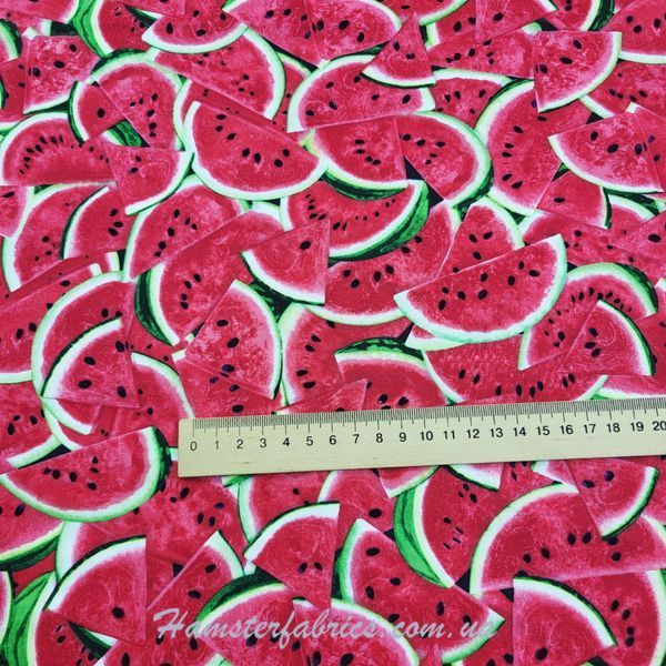 One in a Melon, Американский хлопок для рукоделия и одежды a89-67b фото