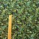 Ferns Green, Американский хлопок для рукоделия и одежды 119C-A25 фото 4