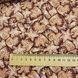 GINGERBREAD COOKIE, Американский хлопок для рукоделия и одежды 992-3bb фото 8