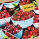 Fruit Bowls, Американский хлопок для рукоделия и одежды 1i4-355 фото 1