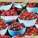 Fruit Bowls, Американский хлопок для рукоделия и одежды 1i4-355 фото 3